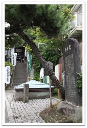 「星月夜の井戸」風景